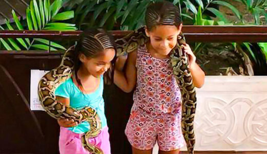 バンコクのスネークファーム。蛇との記念撮影で子供も楽しめる観光スポット。