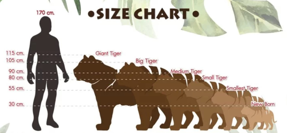 タイガーキングダムの虎サイズチャート