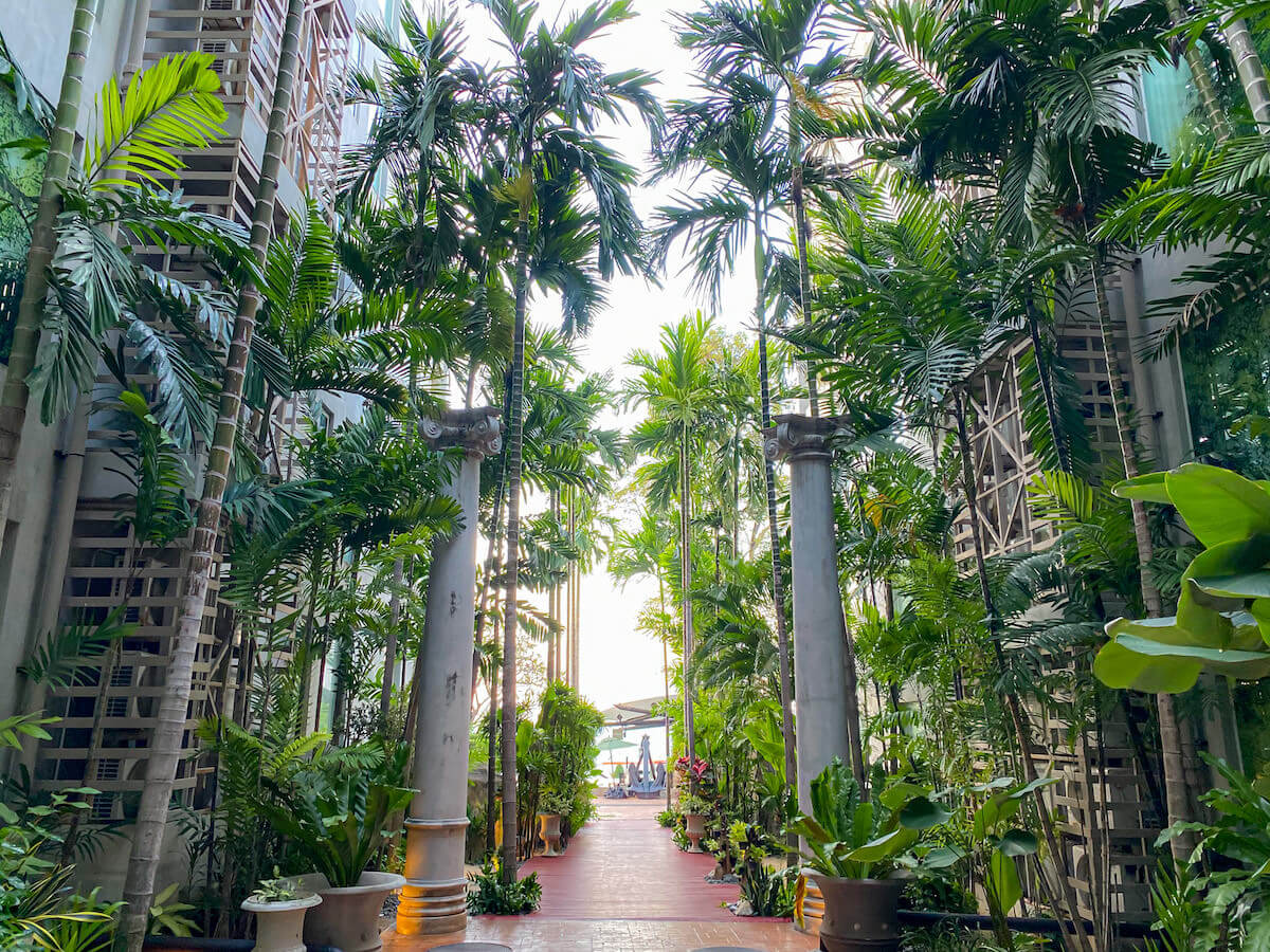 パタヤ モーダス ビーチフロント リゾート（Pattaya Modus Beachfront Resort）の敷地内に並ぶヤシの木