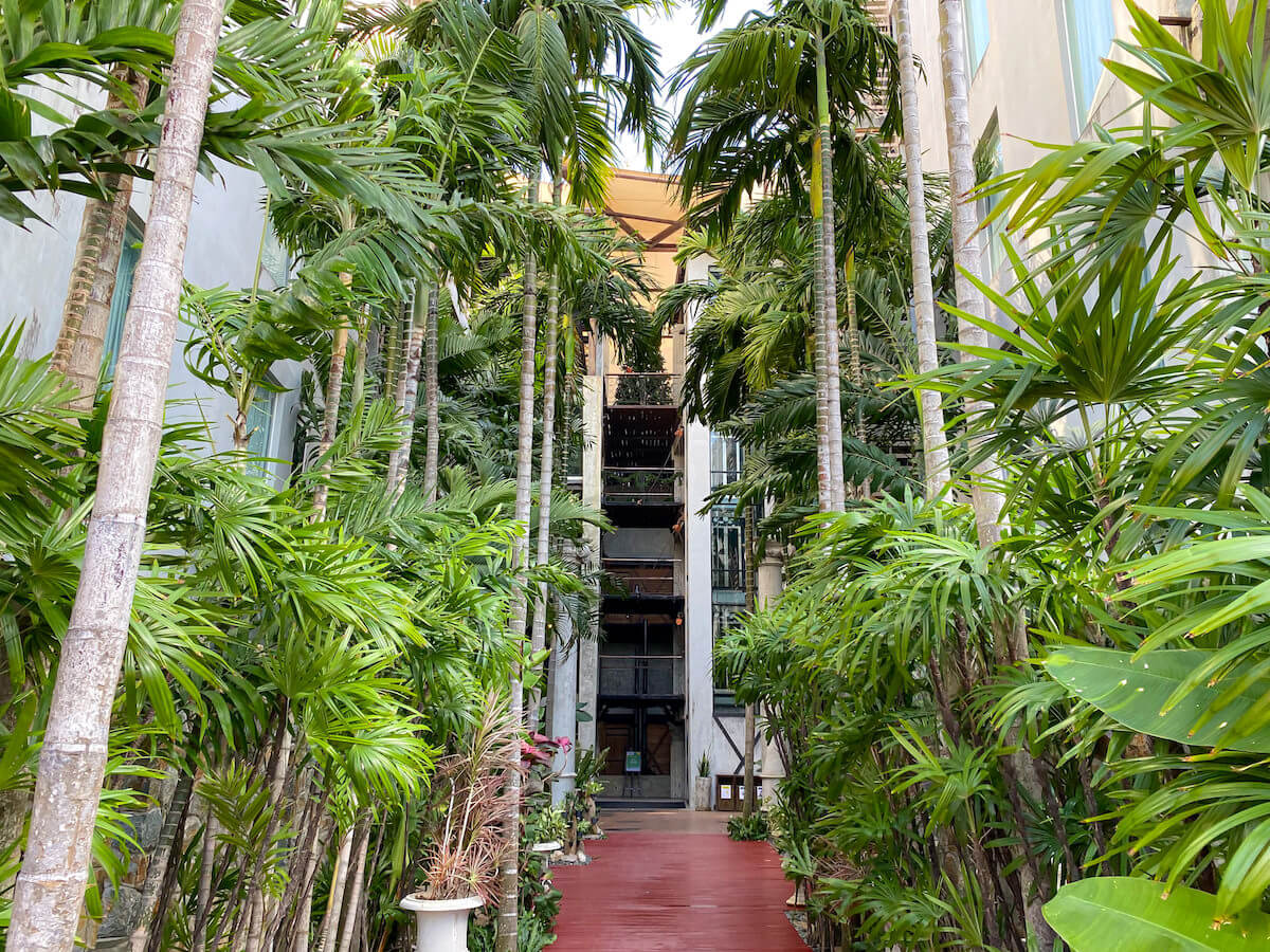パタヤ モーダス ビーチフロント リゾート（Pattaya Modus Beachfront Resort）の敷地内に並ぶ植物２