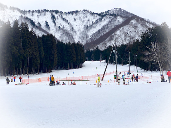 新潟リゾートバイトのスキー場