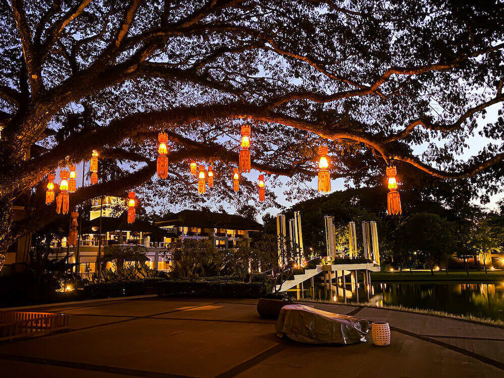 ル メリディアン チェンライ リゾート（Le Meridien Chiang Rai Resort）の敷地内にあるライトアップされたチャームチュリーの木