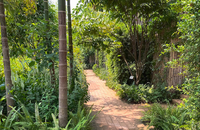 ラヤヘリテージ チェンマイ（Raya Heritage Chiangmai）の中庭