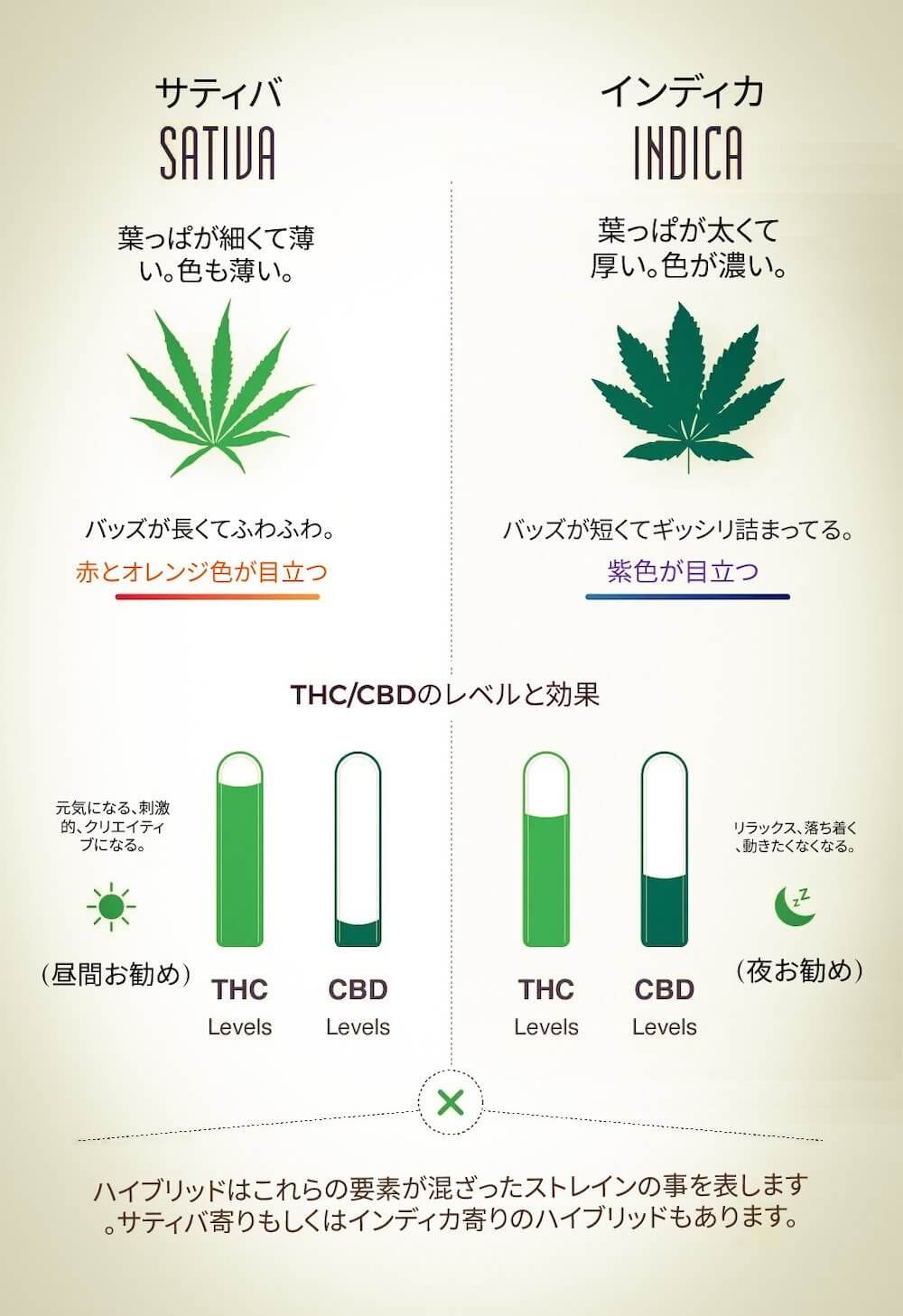 大麻におけるインディカとサティバの違い