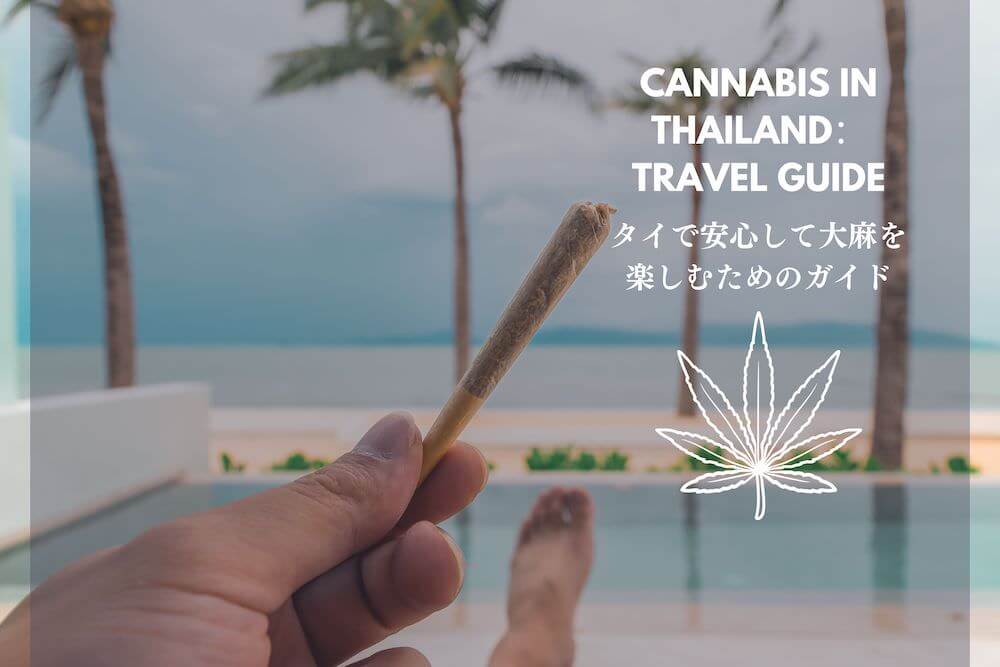 タイ大麻旅行ガイドのアイキャッチ画像