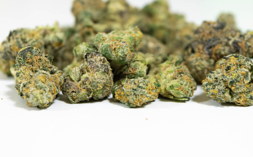 バンコクの大麻ショップ「ファット バッズ ウィード（Fat Buds Weed）」で購入した大麻