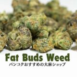 バンコクの大麻ショップ「ファット バッズ ウィード（Fat Buds Weed）」のアイキャッチ画像