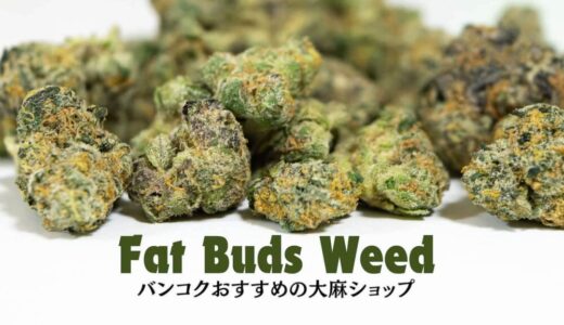 バンコクの大麻ショップ「ファット バッズ ウィード（Fat Buds Weed）」のアイキャッチ画像