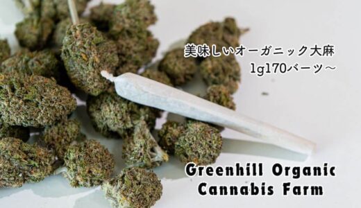 グリーンヒル・オーガニック・カンナビスファーム（Greenhill Organic Cannabis Farm）のアイキャッチ画像