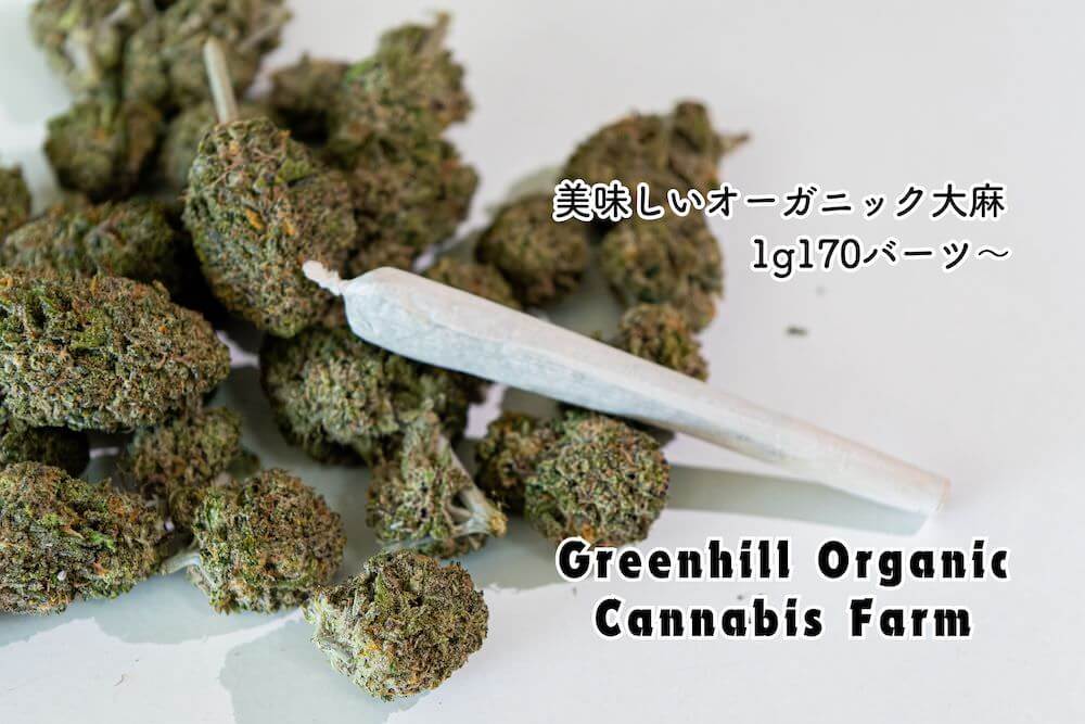 グリーンヒル・オーガニック・カンナビスファーム（Greenhill Organic Cannabis Farm）のアイキャッチ画像