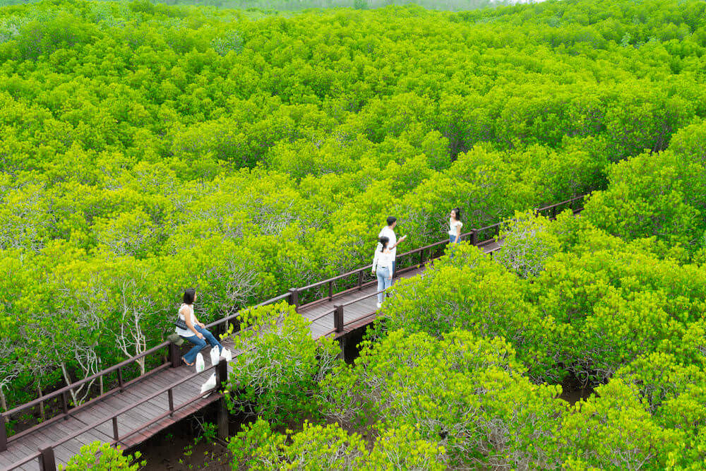 プラーンブリー森林公園（Pran Buri Forest Park）