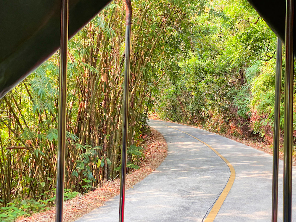 道中の険しい山道