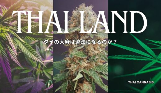 タイで大麻は違法になるのか？再規制の話と実際の現状を解説