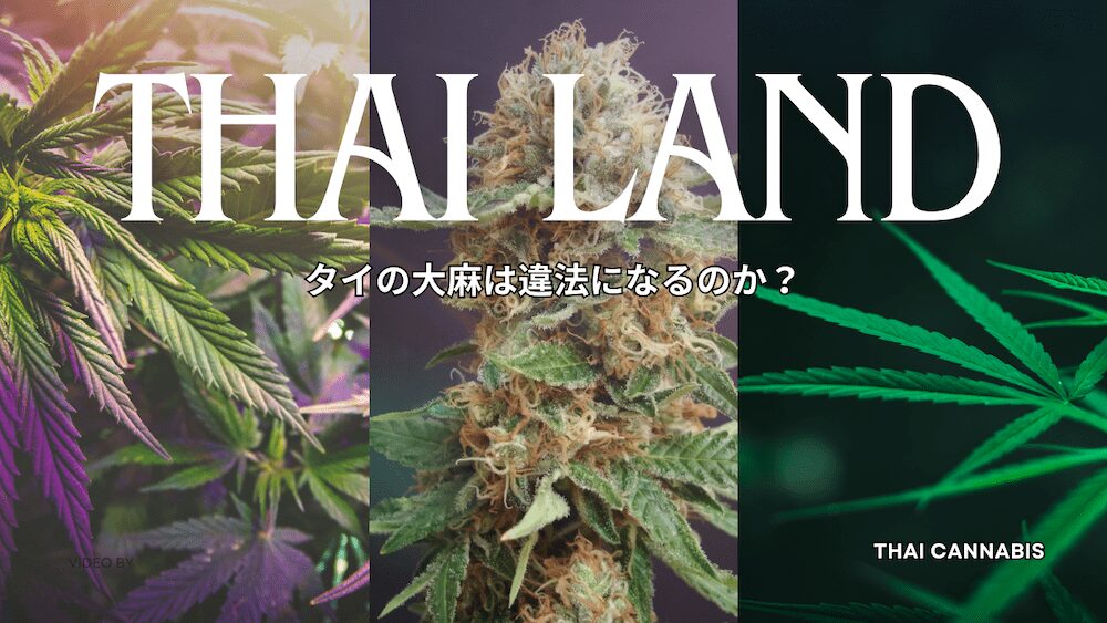 タイの大麻再規制アイキャッチ画像