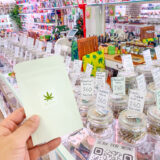 再び揺れるタイの大麻政策　カオサンの現場で聞いた大麻ショップ店員たちの声