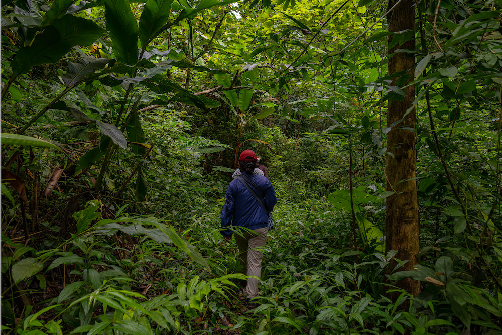 マニタビツアーでのハイキング１