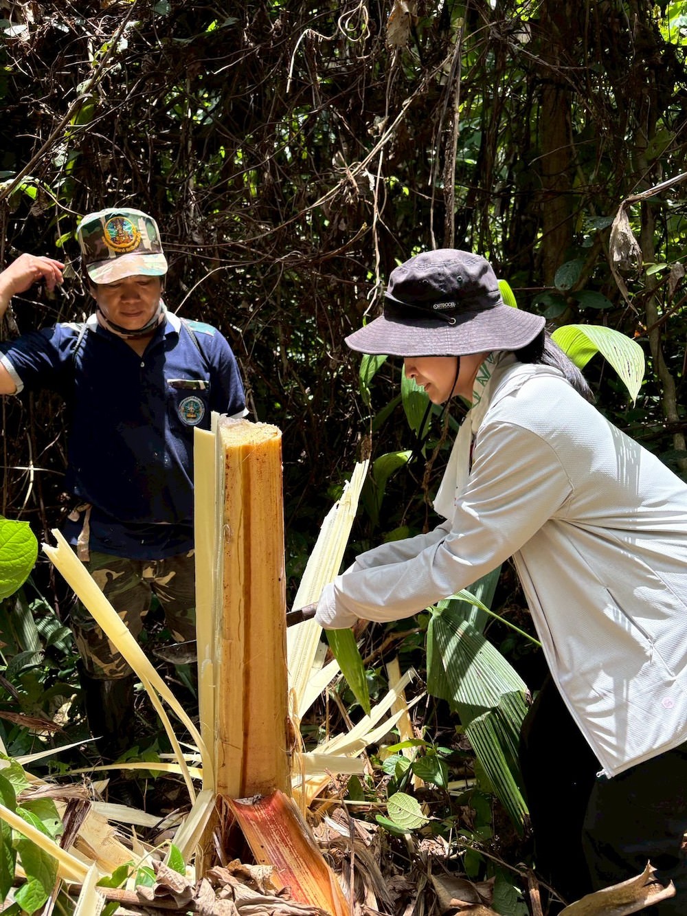 ハイキング中の材料集め