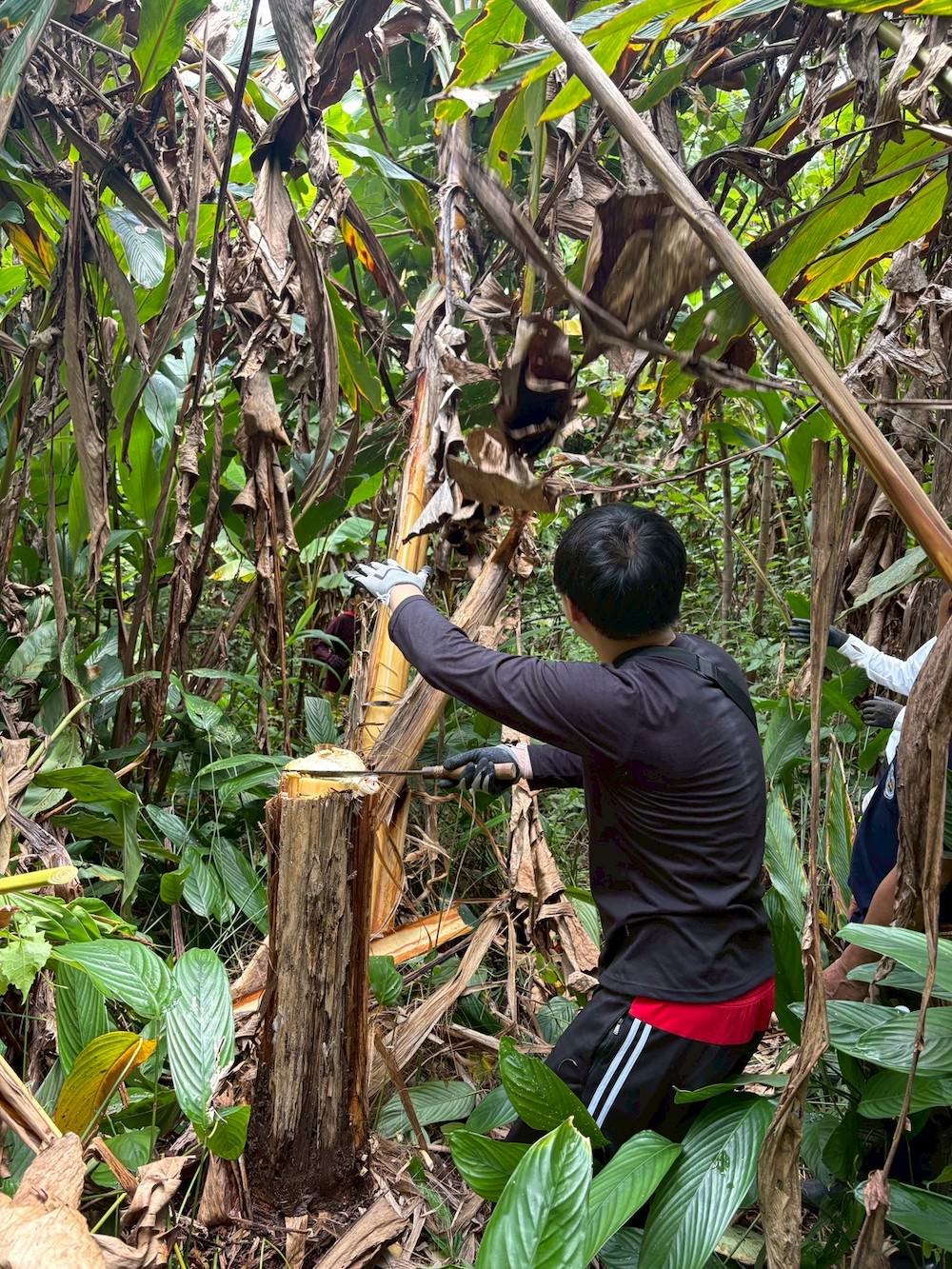 ハイキング中の材料集め２