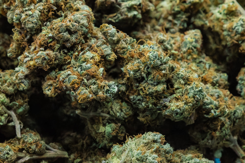 SAMURAI WEEDの大麻３