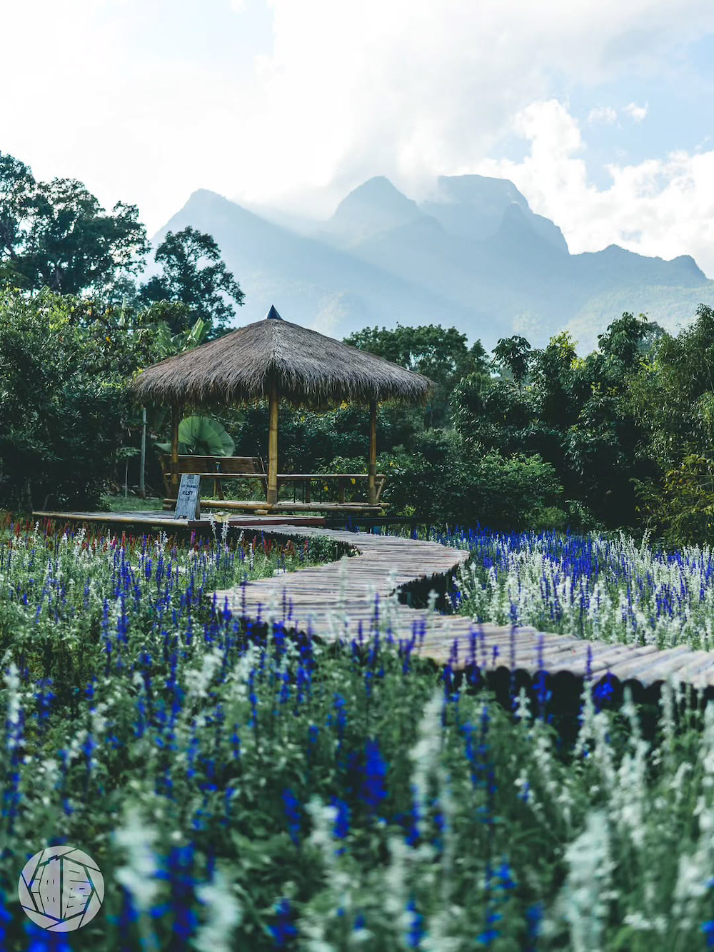 写真家・油屋憲司氏の作品2