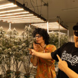 タイ空軍から大麻農家へ転身。Peach PantiesのKenさんと訪ねたタイ人グロワーArtさんのファームで“大麻愛”に触れた