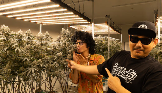 タイ空軍から大麻農家へ転身。Peach PantiesのKenさんと訪ねたタイ人グロワーArtさんのファームで“大麻愛”に触れた