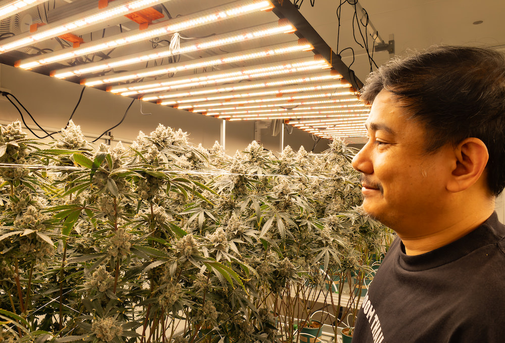 タイ人大麻農家Artさん２