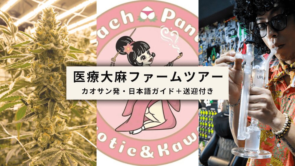 タイ・バンコクの医療大麻ファームツアーのアイキャッチ画像