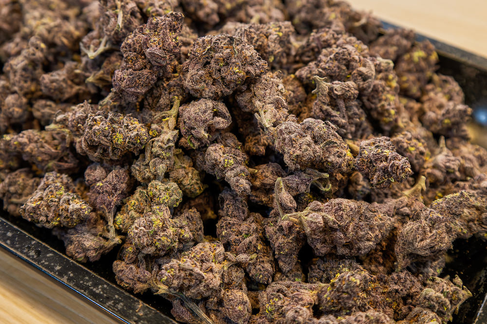 チェンマイの日本人ディスペンサリー「KOKORO」の大麻「WATTYA REDHOT」