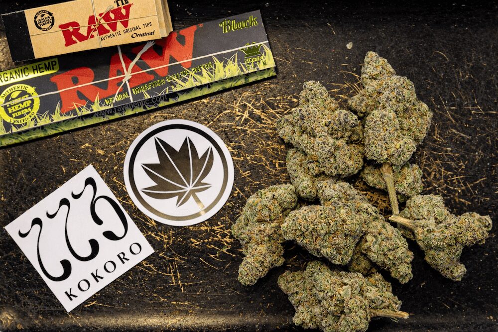 チェンマイの日本人ディスペンサリー「KOKORO」の大麻「COMPOUND-Z」