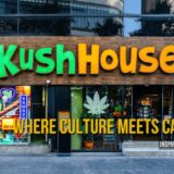 プロンポンのディスペンサリー「Kush House」70年代サンフランシスコのカルチャーに着想