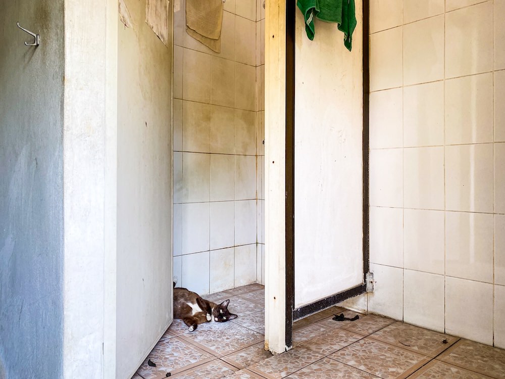 ワットカチョンシリのハーバルスチームサウナのシャワールーム