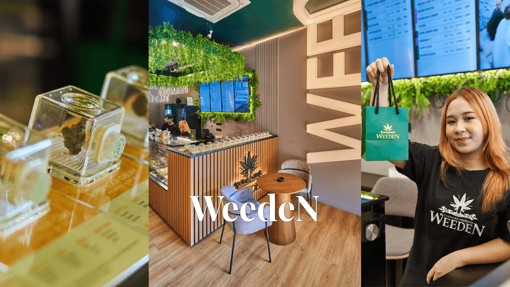タイのディスペンサリー「WeedeN」のアイキャッチ画像