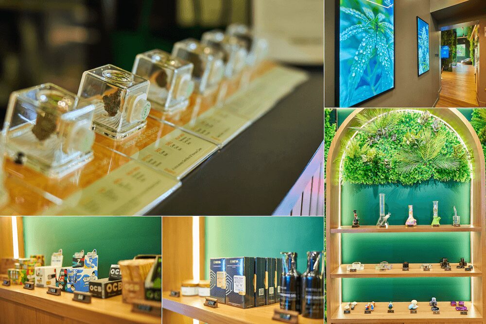 タイのディスペンサリー「WeedeN」の店内2