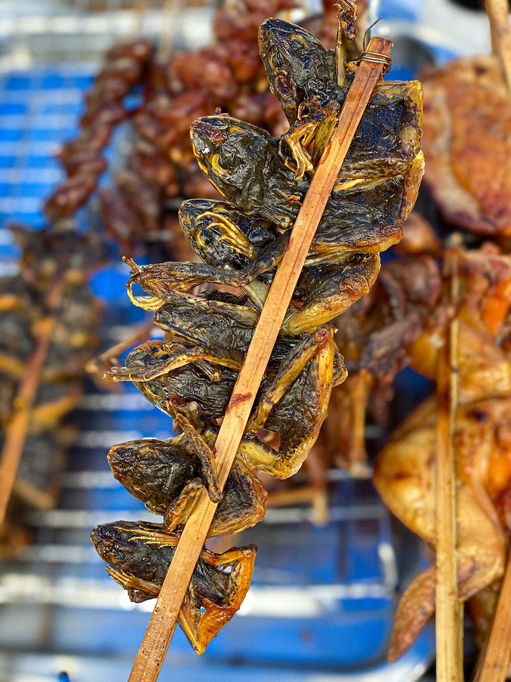 バンコク・オンヌットで売られていた変えるの串焼き