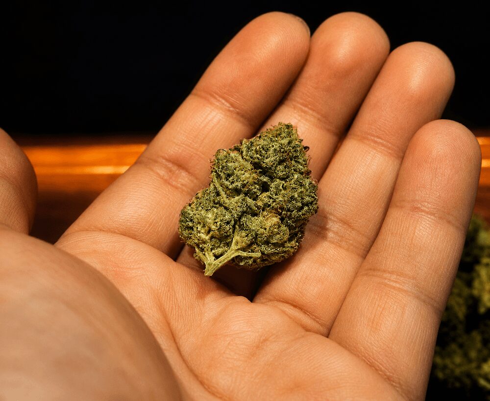 IZUMO GREEN BANGKOKの大麻バッズ
