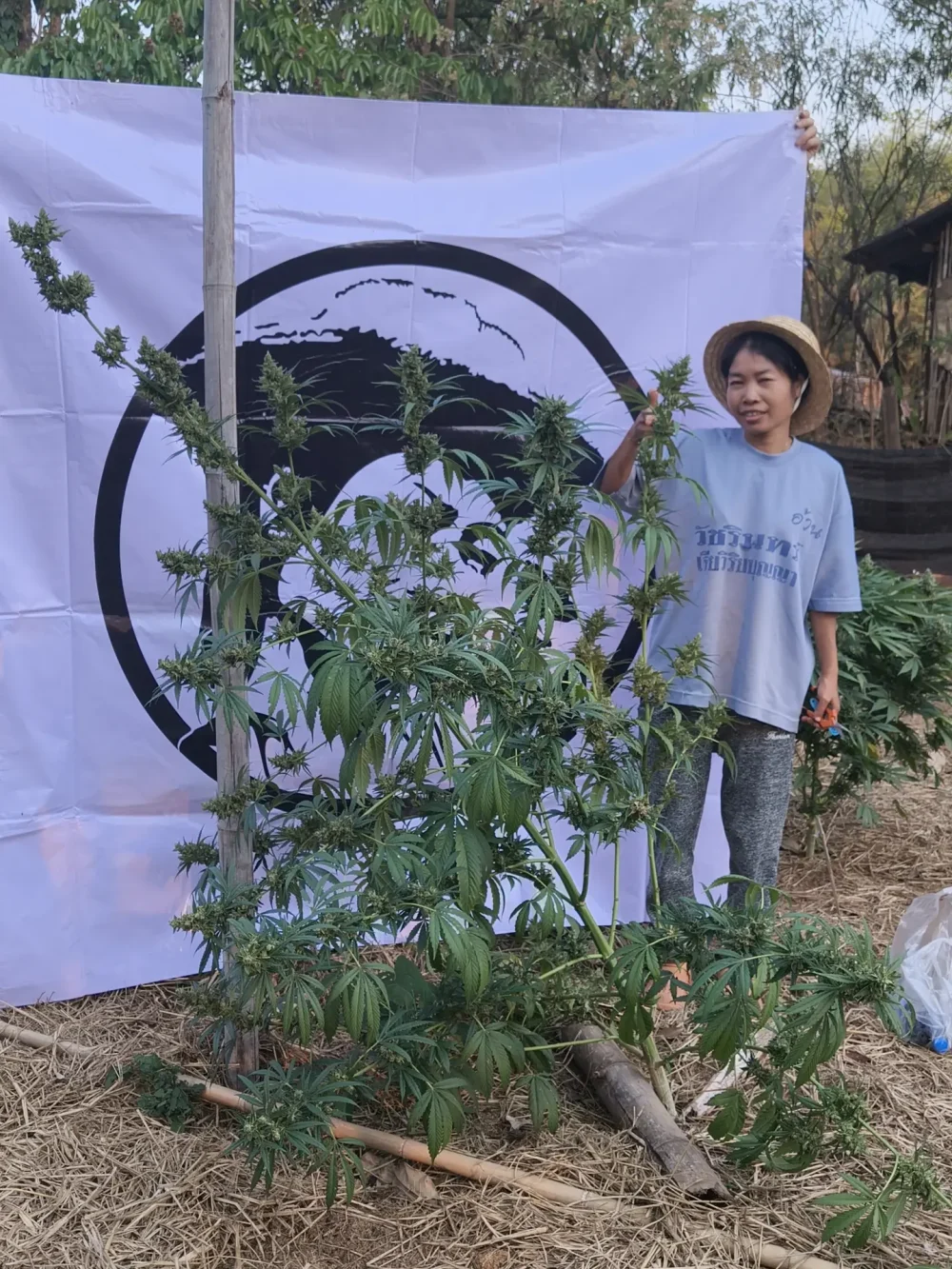 1st Ganja CupのロゴとPrempaveeさん