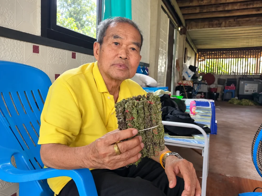 タイスティック