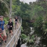 バーンガジャオでサイクリングしている外国人観光客達
