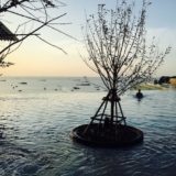 ヒルトン パタヤ (Hilton Pattaya)のプール2
