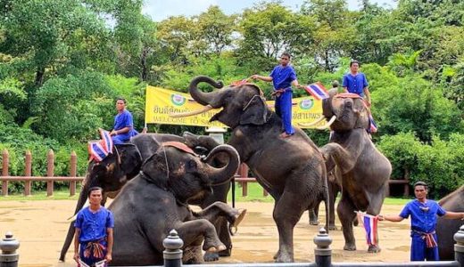サムプランのゾウ園『エレファント・グランド・アンド・ズー』。バンコク郊外にある象とワニのショーに特化した家族向け動物園。