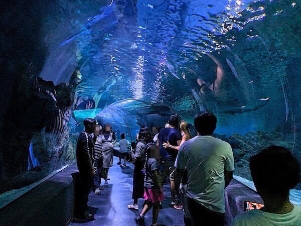 シーライフオーシャンワールドバンコク（Sea Life Ocean World Bangkok）の水中トンネル２