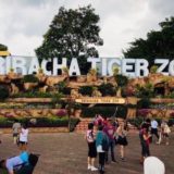 シラチャータイガーズーの入り口