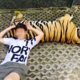 タイガーパークパタヤでの撮影1